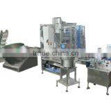 Automatic Bottle Filling Machine for Salt