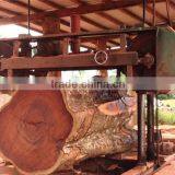 China Manufacturer Big Woodworking Band Saw Machine Sawmill thumbnail-4