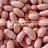 Raw Peanuts for Sale thumbnail-3