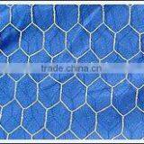 Hexagonal Wire Mesh