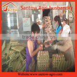 Automatic Farm Building Chicken Egg Layer Cages Poultry Cage House thumbnail-6