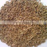 CUMINO SEEDS BEST QUALITY