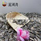 5009 Sunflower Seeds Market Price thumbnail-5