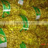 New Fresh Ginger ,chinese Fresh Ginger thumbnail-1