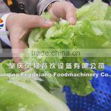 FZHS-15 Vegetable Dehydrator (with 304 Stainless Steel CE Approved WhatsApp:+18819432901 thumbnail-4