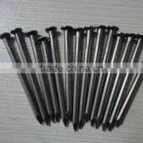 Good Quality 15cm Common Nails/polished Iron Nail / Standard Wire Nail thumbnail-6