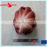 Frozen Flowered Baby Octopus thumbnail-3