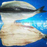 Herring Fillet IQF Seafood thumbnail-1