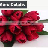 Colorful Wholesale Cheap Tulip Flower for Decoration thumbnail-6