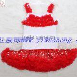 Newest Design Chiffon Nylon Tutu Skirt Full Fluffy Pettiskirt Set for Babay thumbnail-1