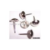 Stainless steel nail, Stainless steel sofa nail, Stainless steel furniture nail