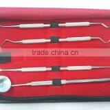 Dental Hygiene Kit/ Complete Set for Teeth Cleaning/ Best Quality Stainless Steel Dental Scalar Kit thumbnail-2