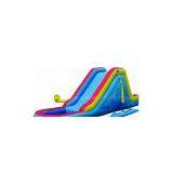CQ8821 Inflatable Giant Slide