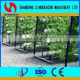 Commercial Hydroponics Greenhouse With Vertical NFT PVC Pipe thumbnail-3