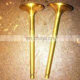 Steel Ev8 Ev16 Bimetal Material Engine Valve for Toyota 3l 5l 2LII-T 1kz 1hz Corolla Hilux Landcruiser Prado Hiace Guides Spring thumbnail-7