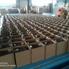 Walnut Kernel With Out Shell thumbnail-3