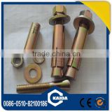 China Supplier Top Quality Galvanized Expansion Anchor Bolt