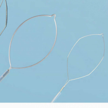 CE&ISO Disposable Endoscopy Polypectomy Snare for Removal of Polyps