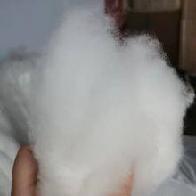 Best Quality Tibetan Dehaired Cashmere 14.5mic Brown Color Cashmere for Cheapest Price thumbnail-2