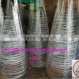 Galvanzied Tomato Cage Support
