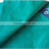 Quality pe Tarp in All Sizes Poly Tarp Fabric for Outdoor Covers thumbnail-2