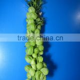 Good smell crazy selling wholesale flower cut foliage