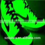 Glow in the dark powder pigment,photoluminescent pigment for shoes making