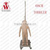 Wholesale Cheap Kids Asia Size Fiberglass Tailor Mannequin Torso thumbnail-2