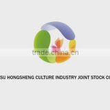 Jiangsu Hongsheng Culture Industry Co., Ltd. company overview - view 1 thumbnail