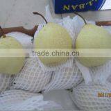 new crop chinese fresh Ya pears