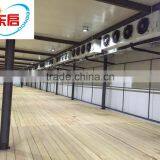 Cold Room From Changzhou thumbnail-5