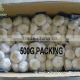 Shandong Garlic Price for Sale thumbnail-5