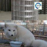 Factory Supply High Quality Welded Wire Mesh Concrete/hot-dipped Galvanized Welded Wire Mesh Panel