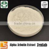 Extract Alpha Arbutin From Powder Bearberry Leaf for Skin Whitening thumbnail-3