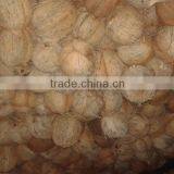 Andara Coconuts thumbnail-2