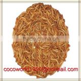 selling dried mealworms for sale free shipping