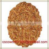 Nutrition Premium Yellow Dried Mealworm Bulk thumbnail-5