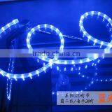 Waterproof Flexible LED Rope /led Light for Chirstmas/decoration Light thumbnail-1