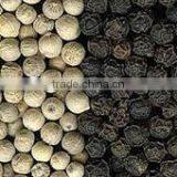 BLACK AND WHITE PEPPER thumbnail-3