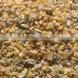 Guar Korma thumbnail-2