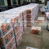 Fresh Sweet Naval Orange thumbnail-3