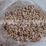 CHINESE LIGHT SPECKLED KIDNEY BEANS 180 200 thumbnail-1
