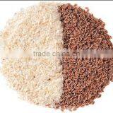 ORGANIC PSYLLIUM thumbnail-2