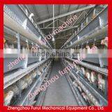 Wire Mesh Cage Chicken Layer/layer Chicken Cage of Poultry Equipment thumbnail-1