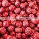 Hot Selling Industrial Chinese Date Dehydrator