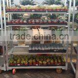 316 Conservatory Car Flower Transport Trolley Cart thumbnail-1