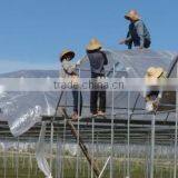 Clear pe Woven Greenhouse Sheet Polyethylen Woven Fabric Film 110-160gsm thumbnail-5