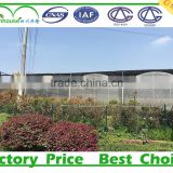 Low cost china plastic commercial and industrial greenhouses for sale