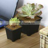 European Sqaure Pot thumbnail-5