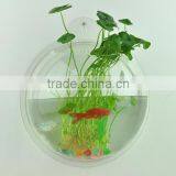 Fishbowl -Clear Glass Vase Fish Tank Ball Bowl+feet/ Succulents Planter Terrarium thumbnail-1